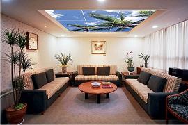 Монтаж подшивных потолков фото