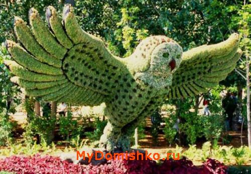Садово-парковая скульптура топиари сова фото Садово-парковая скульптура топиари сова фото