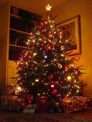 Устанавливаем новогоднюю елку в квартире фото Устанавливаем новогоднюю елку в квартире фото